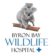 BBWH Client Logos 1